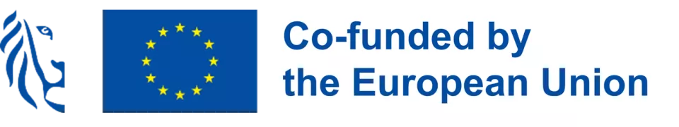 Co-funded by the EU